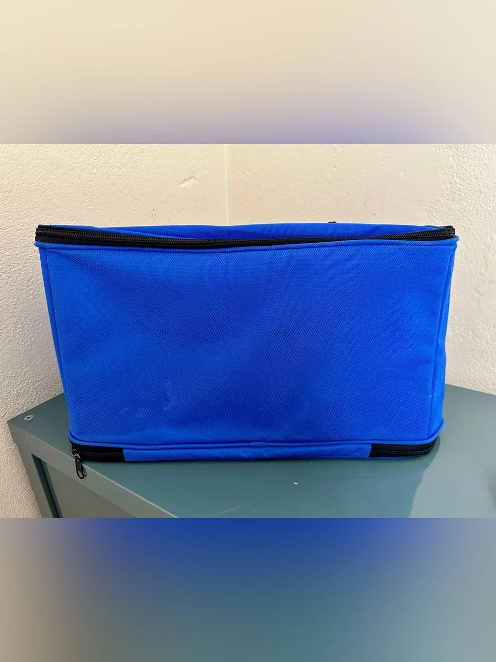 Southwest Official Pet Carrier Mesh Sides Carry On Carrier Bag  17x10x10 Ex Cond